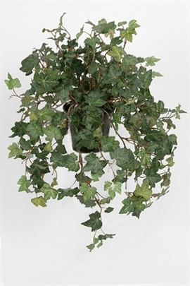 Efeu hænge 45 cm - Grøn "Hedera"